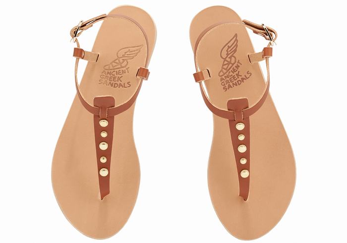 Ancient Greek Sandals Lito Bee Sandaler Med Ryggreim Dame Mørke Brune | NMK2271GG