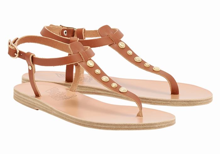 Ancient Greek Sandals Lito Bee Sandaler Med Ryggreim Dame Mørke Brune | NMK2271GG