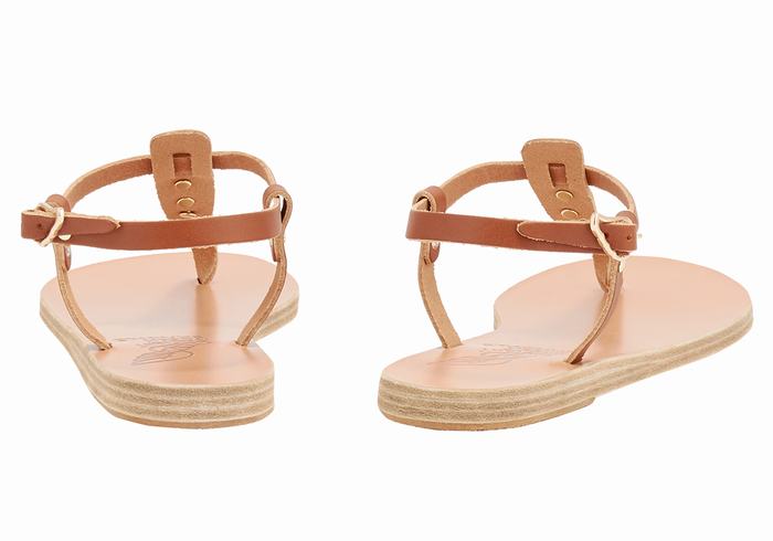 Ancient Greek Sandals Lito Bee Sandaler Med Ryggreim Dame Mørke Brune | NMK2271GG