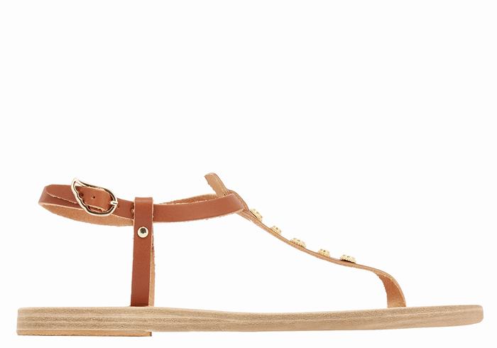 Ancient Greek Sandals Lito Bee Sandaler Med Ryggreim Dame Mørke Brune | NMK2271GG