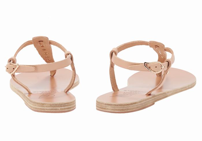 Ancient Greek Sandals Lito Bee Sandaler Med Ryggreim Dame Beige | DWW5858EN