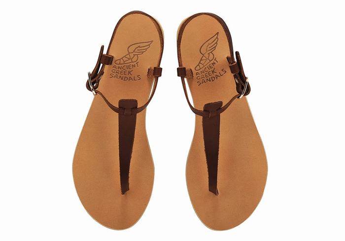 Ancient Greek Sandals Lito Flip Flop Leather Sandaler Med Ryggreim Dame Kaffe | LPT6937NT