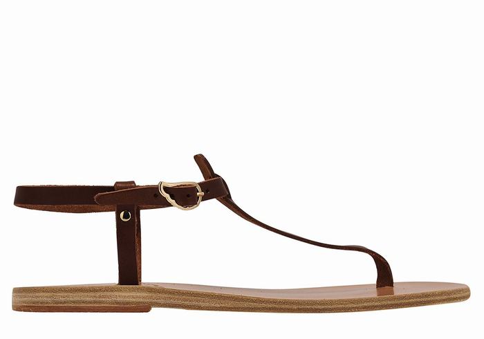 Ancient Greek Sandals Lito Flip Flop Leather Sandaler Med Ryggreim Dame Kaffe | LPT6937NT