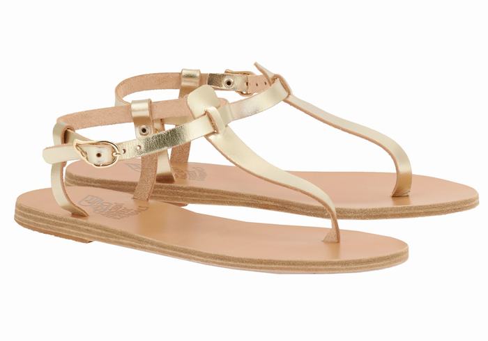 Ancient Greek Sandals Lito Flip Flop Leather Sandaler Med Ryggreim Dame Gull Hvite | OZT2395YP