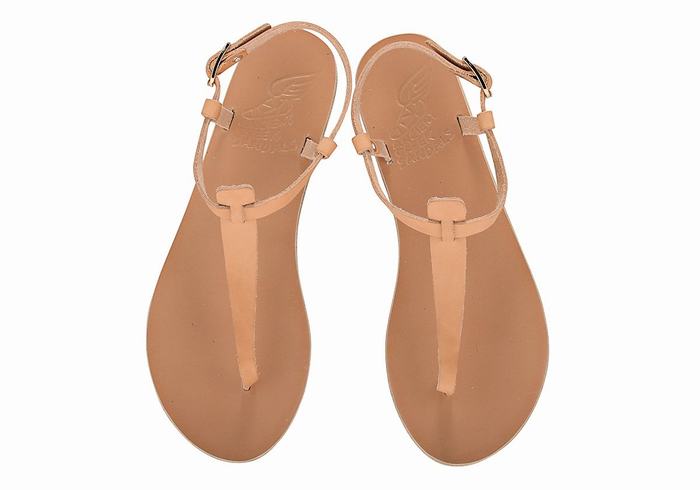 Ancient Greek Sandals Lito Flip Flop Leather Sandaler Med Ryggreim Dame Beige | NRO176YO