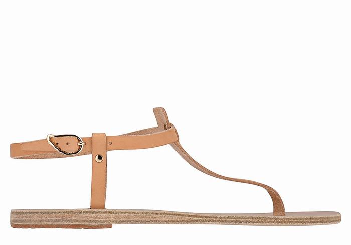 Ancient Greek Sandals Lito Flip Flop Leather Sandaler Med Ryggreim Dame Beige | NRO176YO