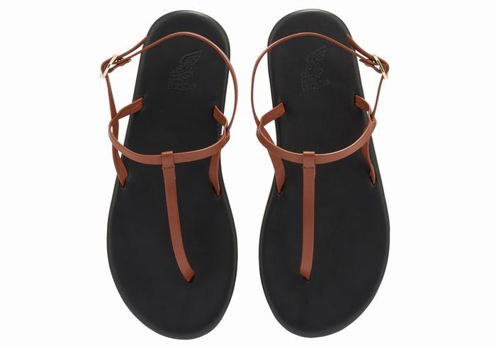 Ancient Greek Sandals Lito Flip Flop Sandaler Med Ryggreim Dame Mørke Brune | PAV5960VB