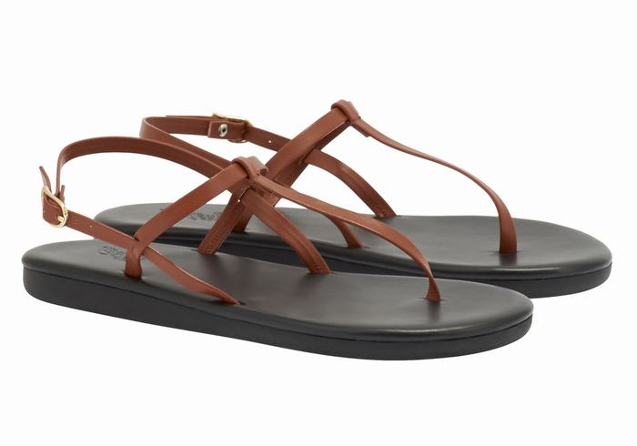 Ancient Greek Sandals Lito Flip Flop Sandaler Med Ryggreim Dame Mørke Brune | PAV5960VB