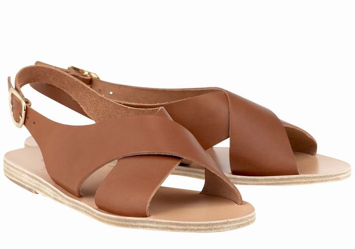 Ancient Greek Sandals Maria Leather Casual Sandaler Dame Mørke Brune | ODP4388WM