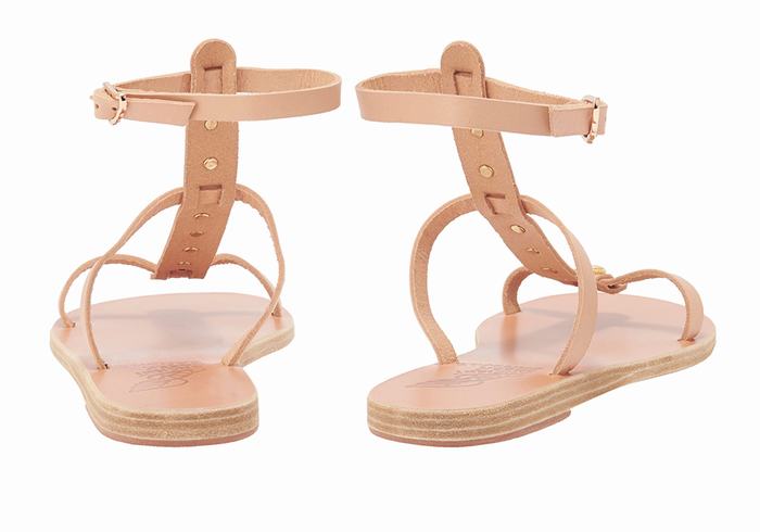 Ancient Greek Sandals Meliti Bee Sandaler Med Ankelrem Dame Beige | TOI3028ZH