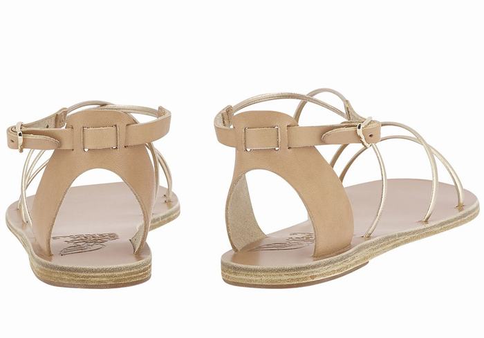 Ancient Greek Sandals Meloivia Sandaler Med Ankelrem Dame Beige Gull Hvite | NGY8696LZ