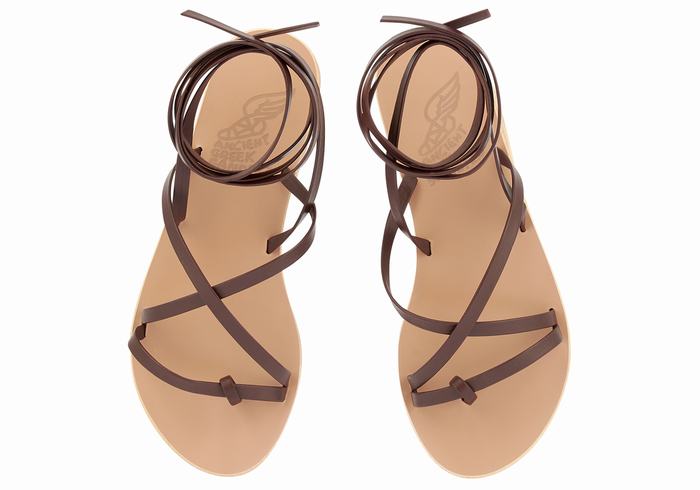 Ancient Greek Sandals Morfi Leather Gladiatorsandaler Dame Kaffe | WAB957DN