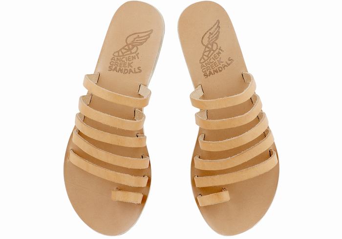 Ancient Greek Sandals Niki Leather Sandaler Med Tåstolper Dame Beige | OPI9396ES