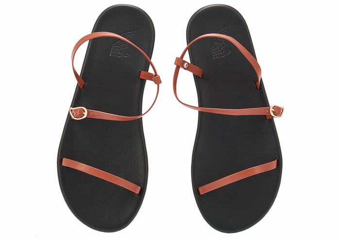 Ancient Greek Sandals Niove Sandaler Med Ryggreim Dame Mørke Brune | IGL5696MA