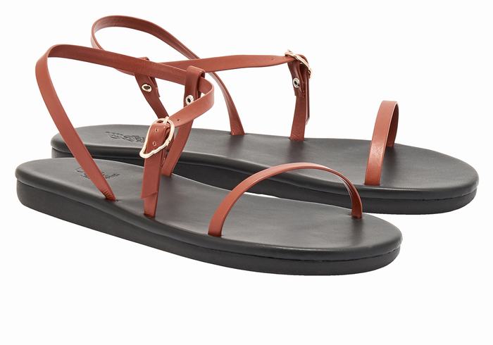 Ancient Greek Sandals Niove Sandaler Med Ryggreim Dame Mørke Brune | IGL5696MA