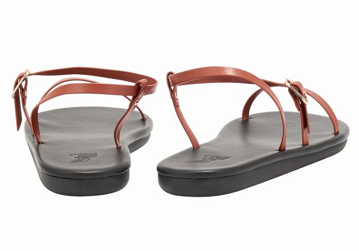 Ancient Greek Sandals Niove Sandaler Med Ryggreim Dame Mørke Brune | IGL5696MA