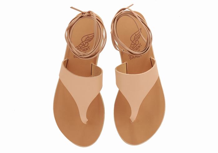 Ancient Greek Sandals Nychta Leather Gladiatorsandaler Dame Beige | ENX337FK