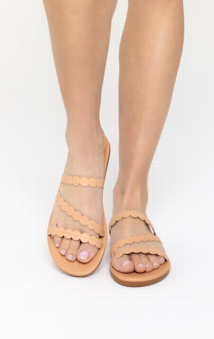 Ancient Greek Sandals Oceanis Slidesandaler Dame Beige | AJQ7788DD