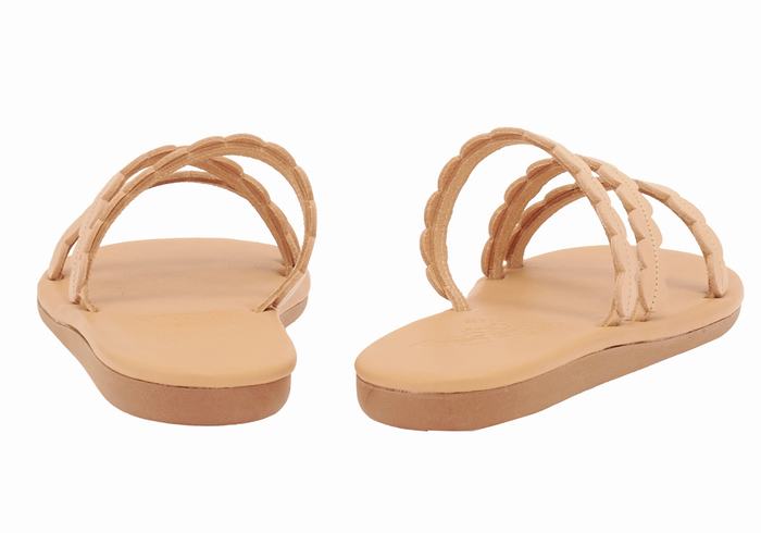 Ancient Greek Sandals Oceanis Slidesandaler Dame Beige | AJQ7788DD