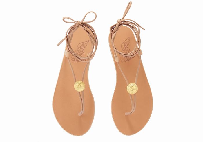 Ancient Greek Sandals Persephone Gladiatorsandaler Dame Beige | WWG3850XK