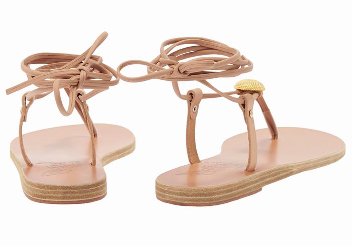 Ancient Greek Sandals Persephone Gladiatorsandaler Dame Beige | WWG3850XK