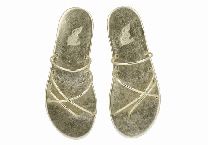 Ancient Greek Sandals Pu Slidesandaler Dame Gull Hvite | XHY6344MG