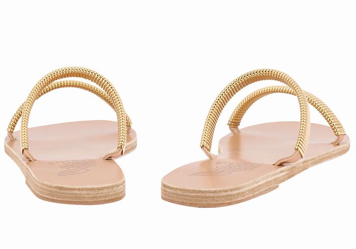 Ancient Greek Sandals Saita Slidesandaler Dame Gull Beige | IAT8910GE