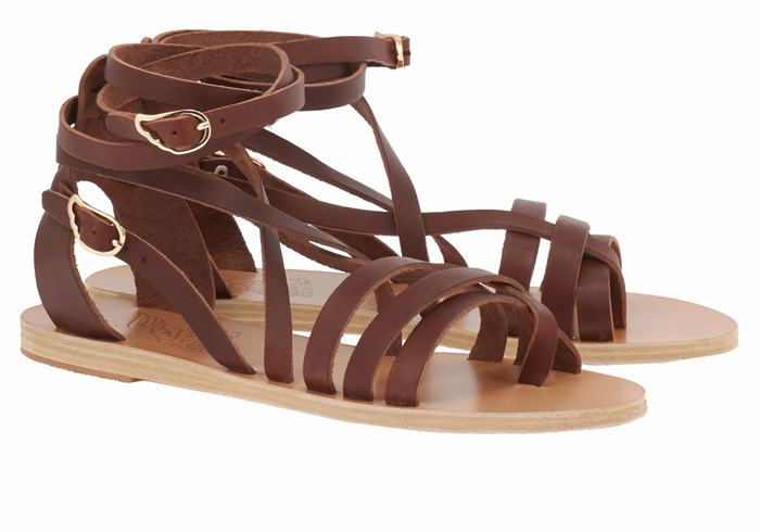 Ancient Greek Sandals Satira Leather Gladiatorsandaler Dame Kaffe | URO631ZH