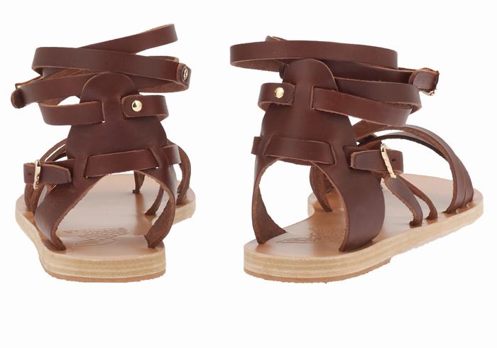 Ancient Greek Sandals Satira Leather Gladiatorsandaler Dame Kaffe | URO631ZH