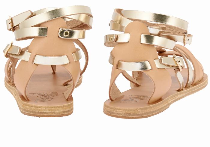 Ancient Greek Sandals Satira Leather Gladiatorsandaler Dame Beige Gull Hvite | GCF7218YS