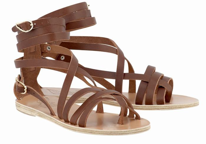 Ancient Greek Sandals Satira Leather Gladiatorsandaler Dame Mørke Brune | XDQ6746BS