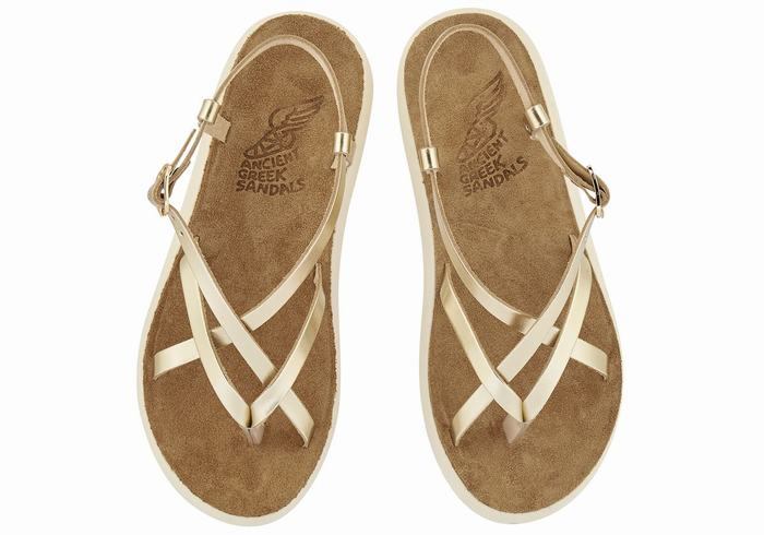 Ancient Greek Sandals Semele Comfort Sandaler Med Ryggreim Dame Gull Hvite | BDK278XT