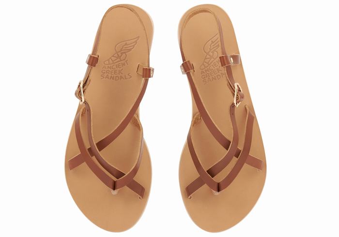 Ancient Greek Sandals Semele Leather Sandaler Med Ryggreim Dame Mørke Brune | UVZ7117GW