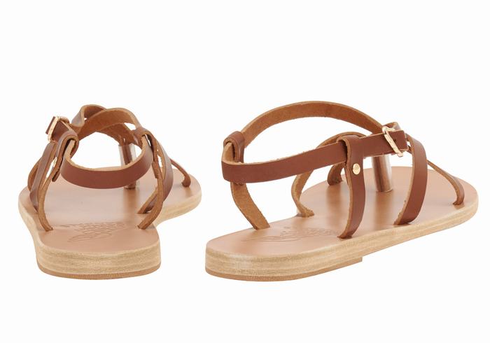 Ancient Greek Sandals Semele Leather Sandaler Med Ryggreim Dame Mørke Brune | UVZ7117GW