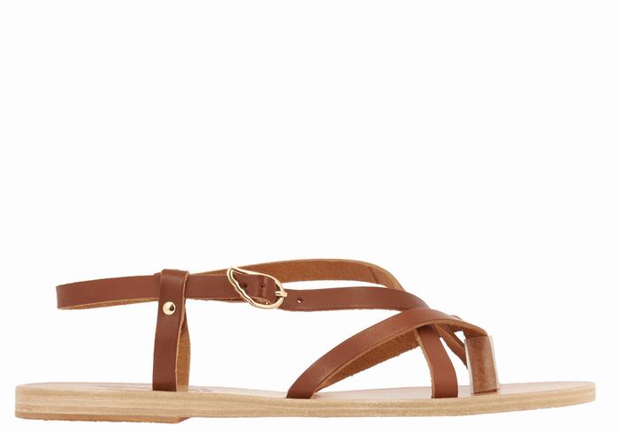 Ancient Greek Sandals Semele Leather Sandaler Med Ryggreim Dame Mørke Brune | UVZ7117GW