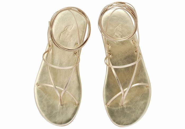 Ancient Greek Sandals String Gladiatorsandaler Dame Gull Hvite | CCI2475BO