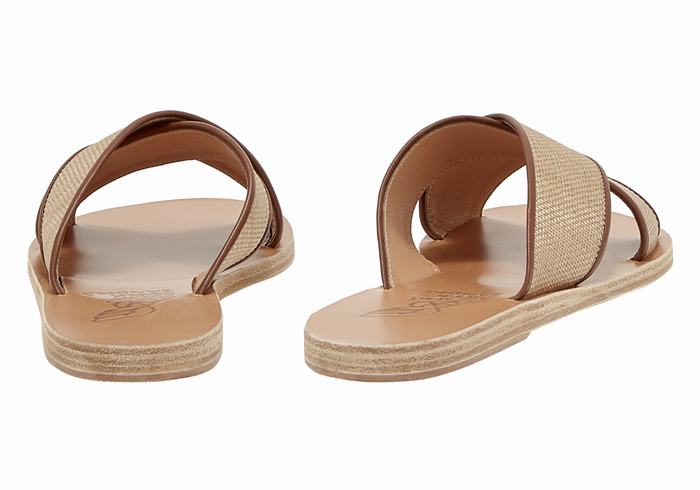 Ancient Greek Sandals Thais Slidesandaler Dame Beige Brune | WUW6299YF