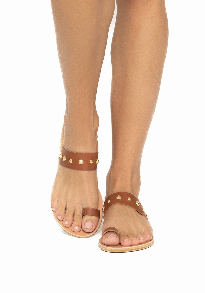 Ancient Greek Sandals Thalia Bee Sandaler Med Tåstolper Dame Mørke Brune | TWV4956JI