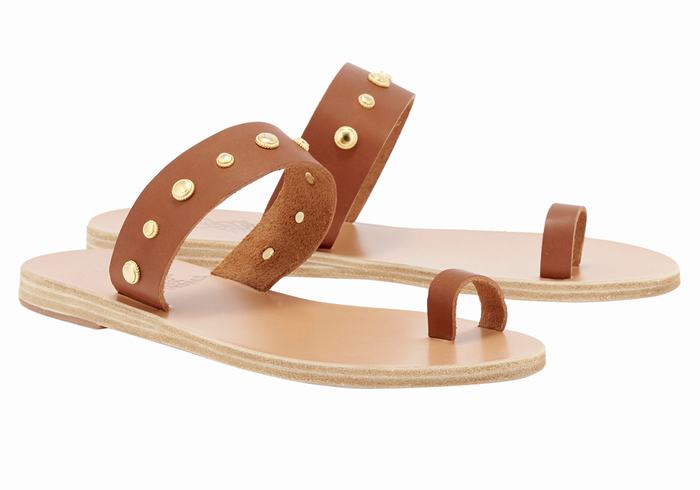 Ancient Greek Sandals Thalia Bee Sandaler Med Tåstolper Dame Mørke Brune | TWV4956JI