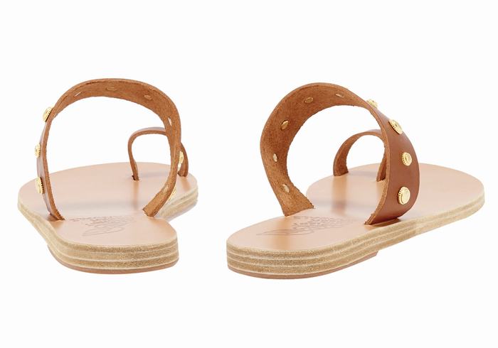 Ancient Greek Sandals Thalia Bee Sandaler Med Tåstolper Dame Mørke Brune | TWV4956JI