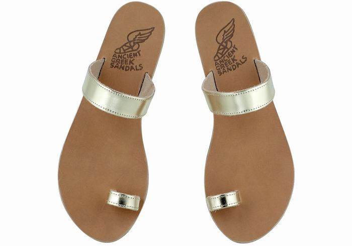 Ancient Greek Sandals Thalia Leather Sandaler Med Tåstolper Dame Gull Hvite | OCJ8496DH