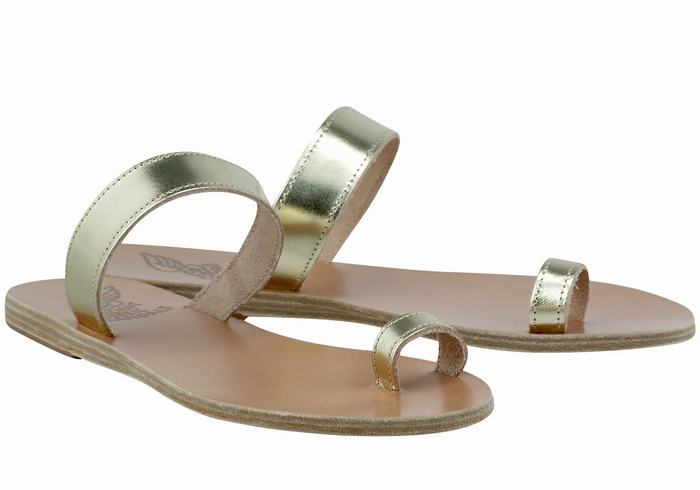 Ancient Greek Sandals Thalia Leather Sandaler Med Tåstolper Dame Gull Hvite | OCJ8496DH