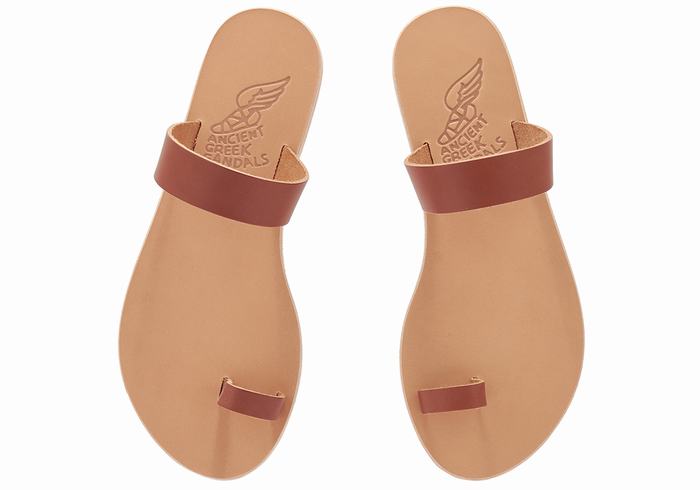 Ancient Greek Sandals Thalia Leather Sandaler Med Tåstolper Dame Mørke Brune | DGS7412TS