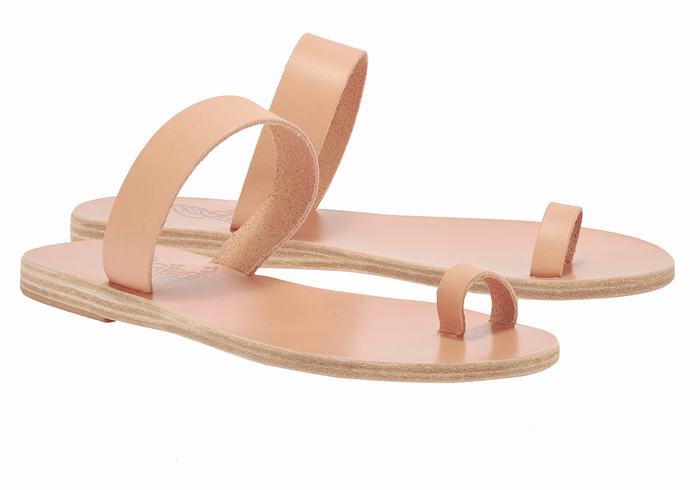 Ancient Greek Sandals Thalia Leather Sandaler Med Tåstolper Dame Beige | WOT3344TT