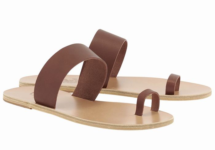 Ancient Greek Sandals Thalos Sandaler Med Tåstolper Herre Kaffe | WHK9085PX