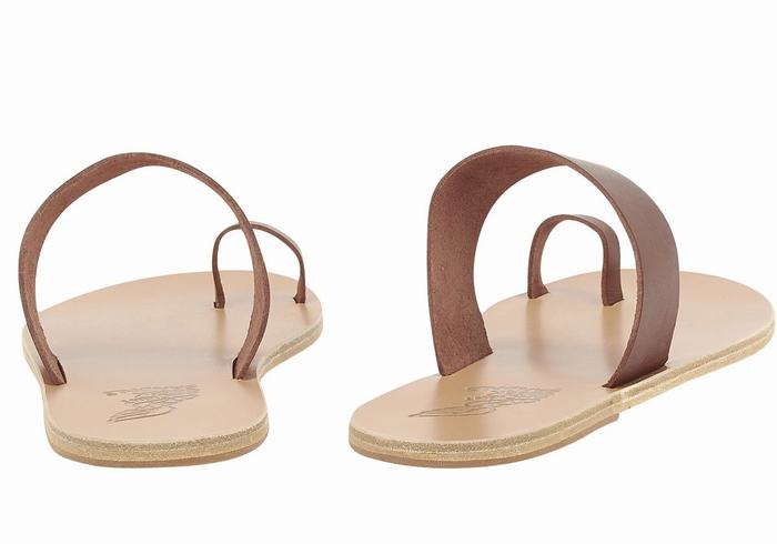 Ancient Greek Sandals Thalos Sandaler Med Tåstolper Herre Kaffe | WHK9085PX