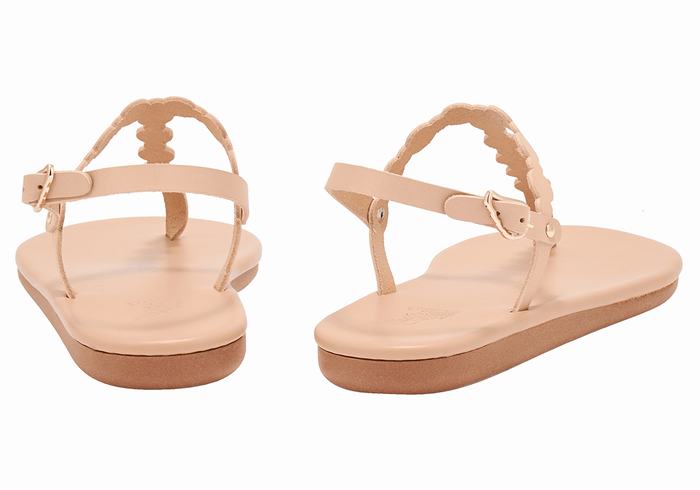 Ancient Greek Sandals Velos Flip Flop Sandaler Med Ryggreim Dame Beige | VMV6765JZ