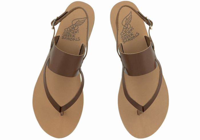 Ancient Greek Sandals Zoe Flip Flop Leather Sandaler Med Ryggreim Dame Mørke Brune | TDK6721RP