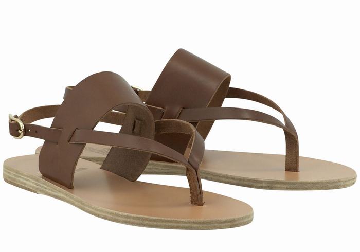 Ancient Greek Sandals Zoe Flip Flop Leather Sandaler Med Ryggreim Dame Mørke Brune | TDK6721RP