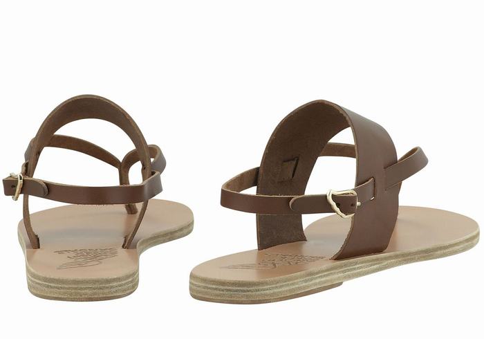 Ancient Greek Sandals Zoe Flip Flop Leather Sandaler Med Ryggreim Dame Mørke Brune | TDK6721RP